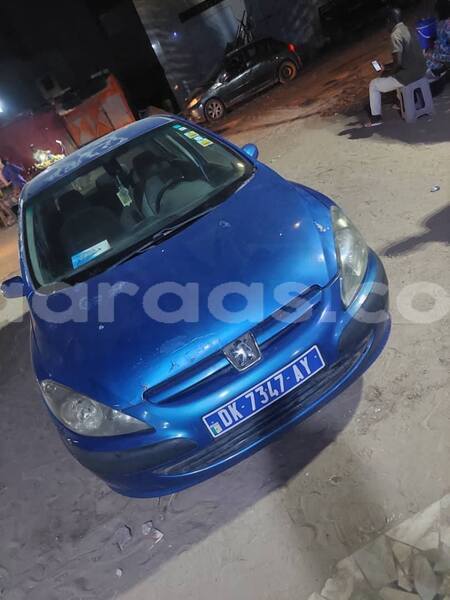 Big with watermark peugeot 307 dakar dakar 32886