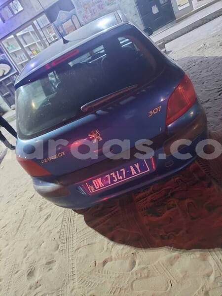 Big with watermark peugeot 307 dakar dakar 32886