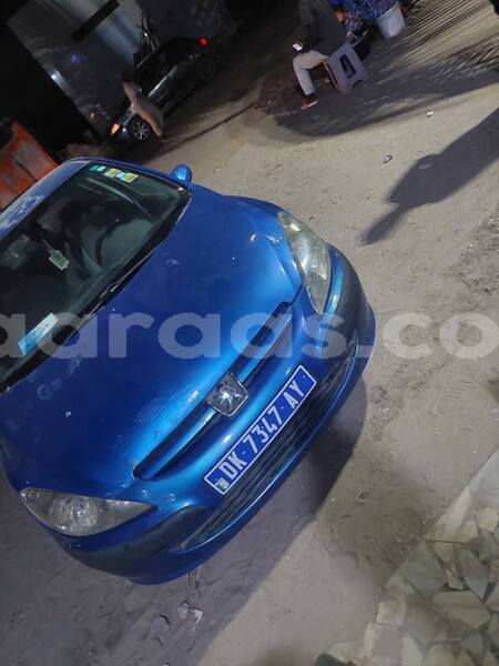 Big with watermark peugeot 307 dakar dakar 32886