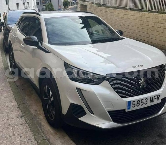 Big with watermark peugeot 2008 bagmati behind berlin 32894