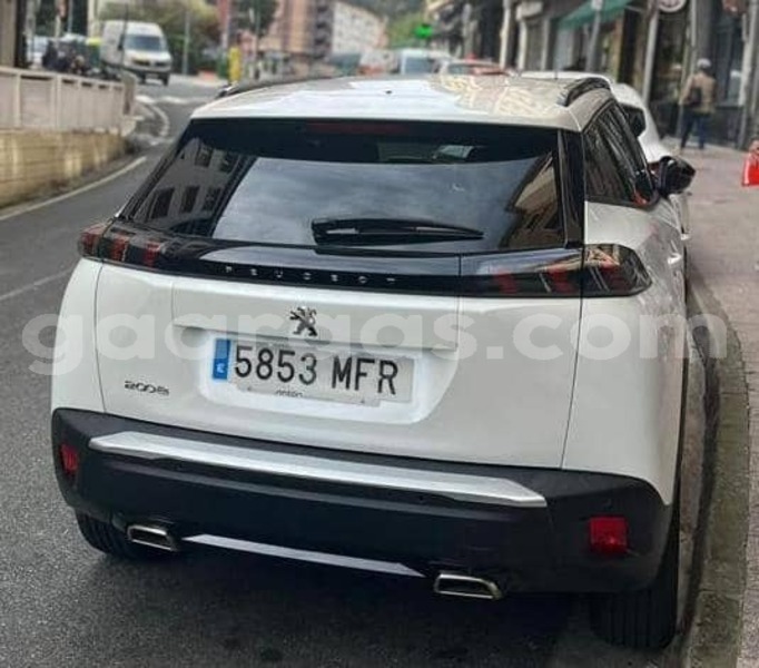 Big with watermark peugeot 2008 bagmati behind berlin 32894