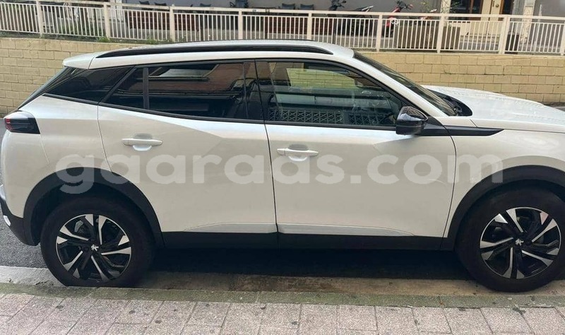 Big with watermark peugeot 2008 bagmati behind berlin 32894