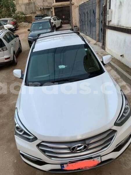 Big with watermark hyundai santa fe dakar dakar 32964