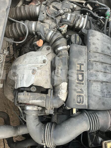 Big with watermark peugeot 308 dakar dakar 33004