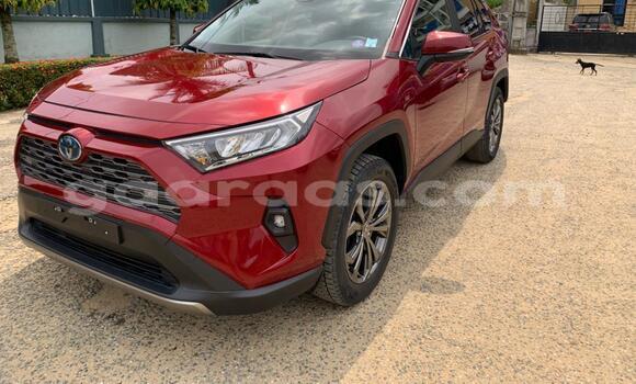 Buy New Toyota RAV4 Red Car in Dakar in Dakar