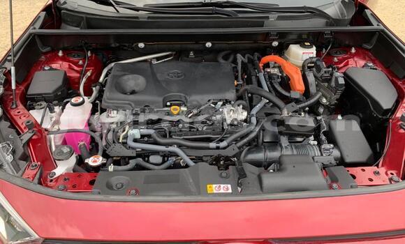 Buy New Toyota RAV4 Red Car in Dakar in Dakar Buy New Toyota RAV4 Red Car in Dakar in Dakar