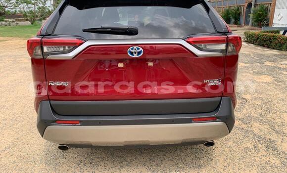 Buy New Toyota RAV4 Red Car in Dakar in Dakar Buy New Toyota RAV4 Red Car in Dakar in Dakar
