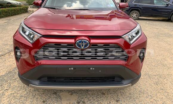 Buy New Toyota RAV4 Red Car in Dakar in Dakar Buy New Toyota RAV4 Red Car in Dakar in Dakar
