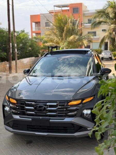 Big with watermark hyundai tucson dakar dakar 33030