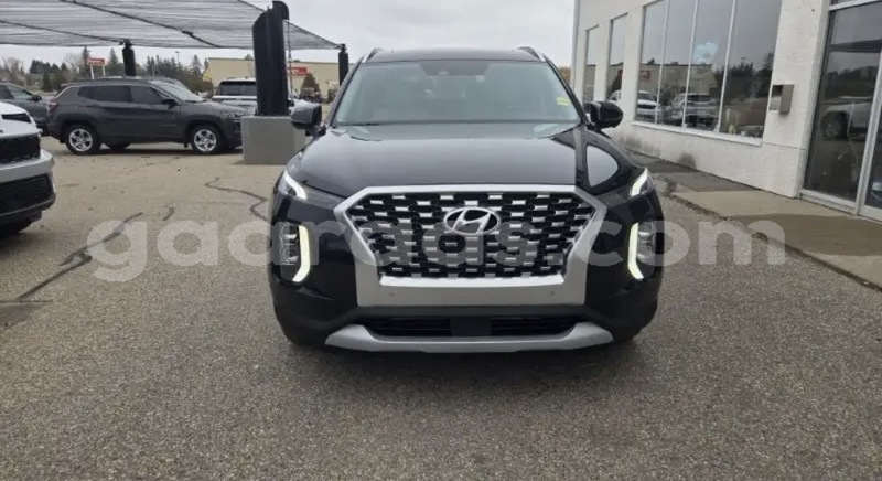 Big with watermark hyundai palisade dakar dakar 33052