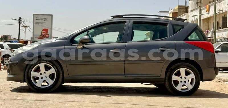 Big with watermark peugeot 207 dakar dakar 33066