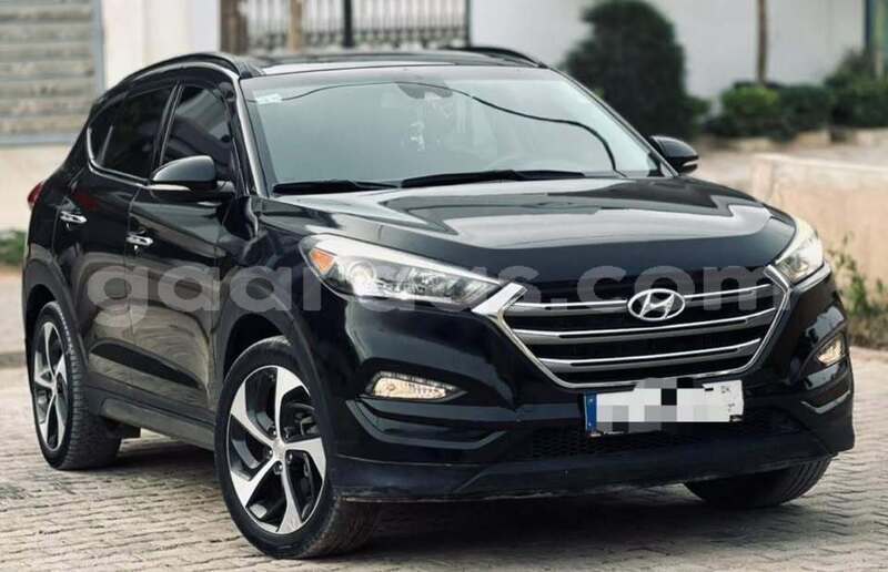 Big with watermark hyundai tucson dakar dakar 33092