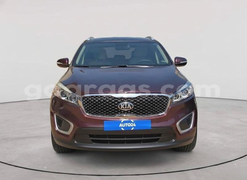 Big with watermark kia sorento dakar dakar 33138