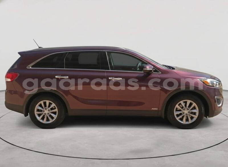 Big with watermark kia sorento dakar dakar 33138