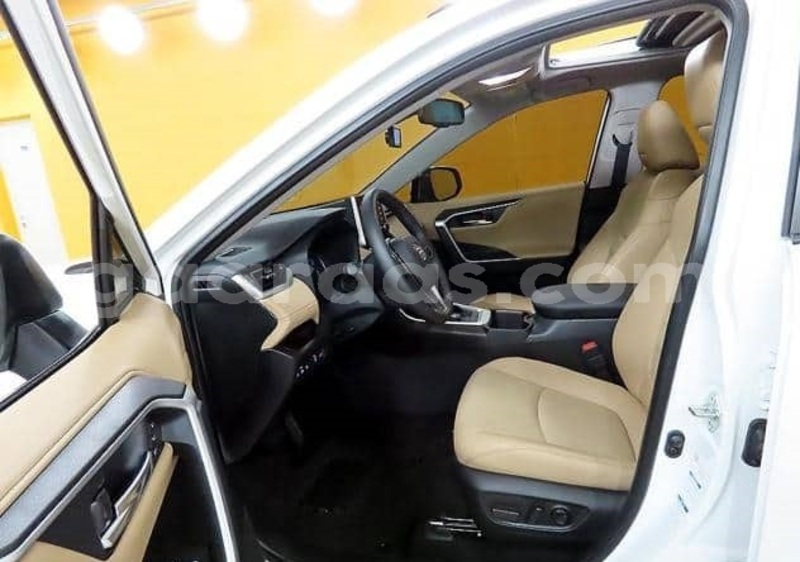 Big with watermark toyota rav 4 dakar dakar 33181