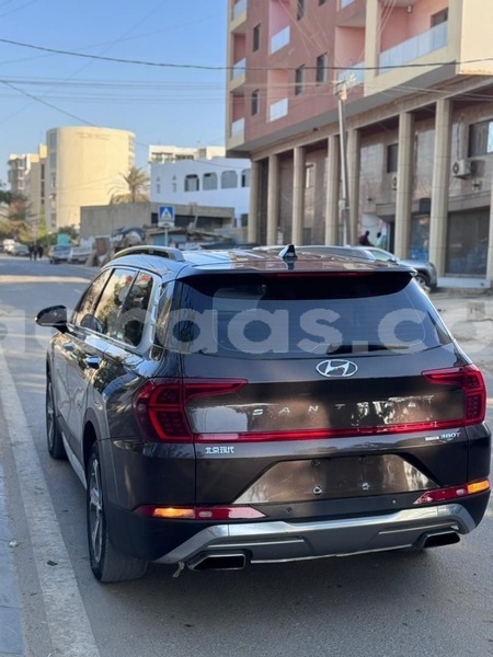 Big with watermark hyundai santa fe dakar dakar 33184