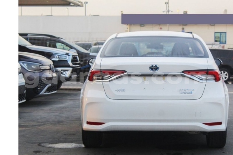 Big with watermark toyota corolla dakar dakar 33188