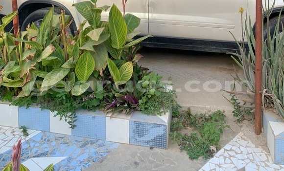 Acheter Occasion Voiture GMC Acadia Beige à Saint–Louis, Saint-Louis