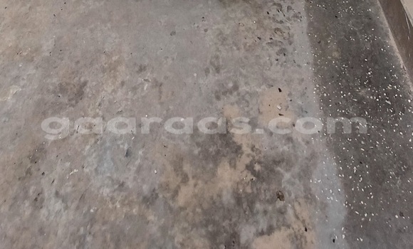 Acheter Occasion Voiture Ford Focus Rouge à Dakar, Dakar Acheter Occasion Voiture Ford Focus Rouge à Dakar, Dakar