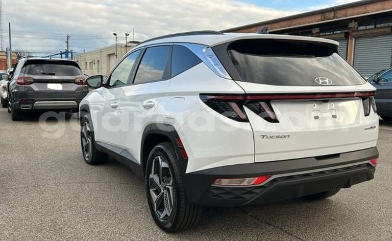 Big with watermark hyundai tucson dakar dakar 33229