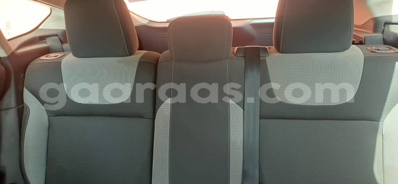 Big with watermark ford focus dakar dakar 33237