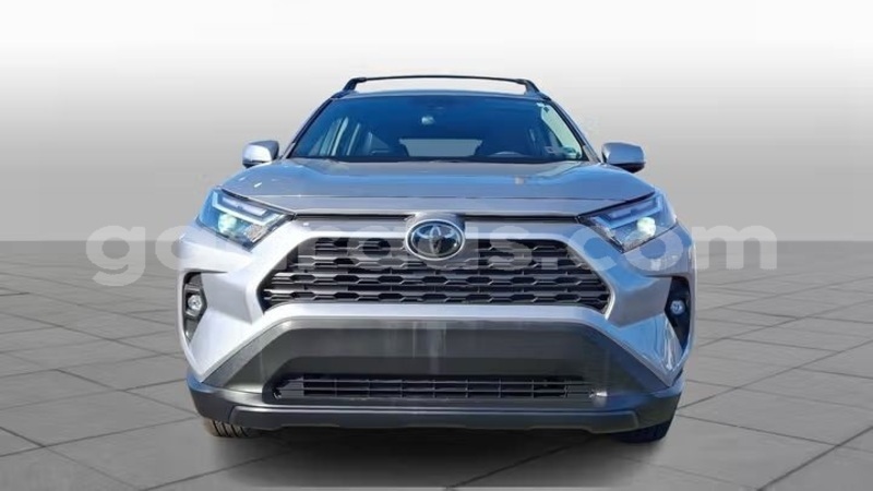 Big with watermark toyota rav4 dakar dakar 33243