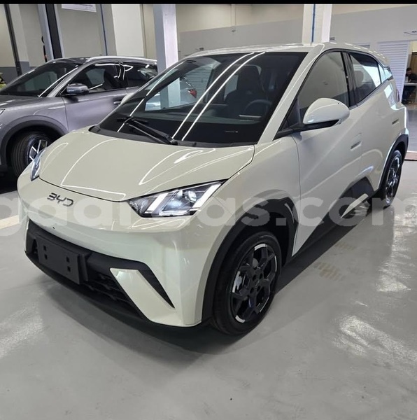 Big with watermark byd seagull dakar dakar 33248