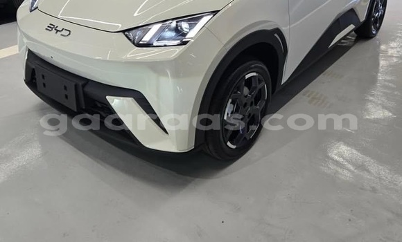 Acheter Occasion Voiture BYD Seagull White à Dakar, Dakar