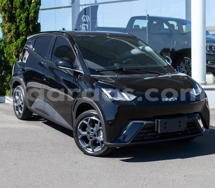 Big with watermark byd seagull dakar dakar 33248