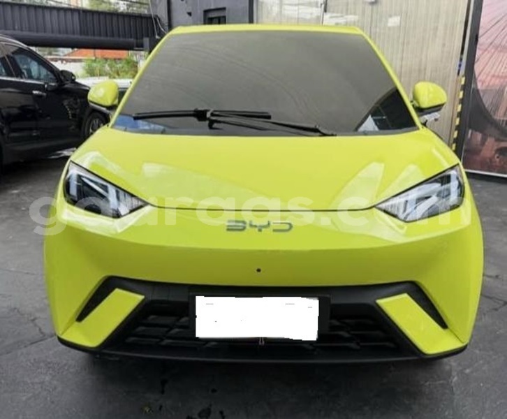 Big with watermark byd seagull dakar dakar 33248