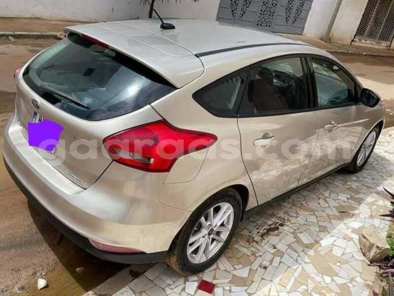 Big with watermark ford focus dakar dakar 33294