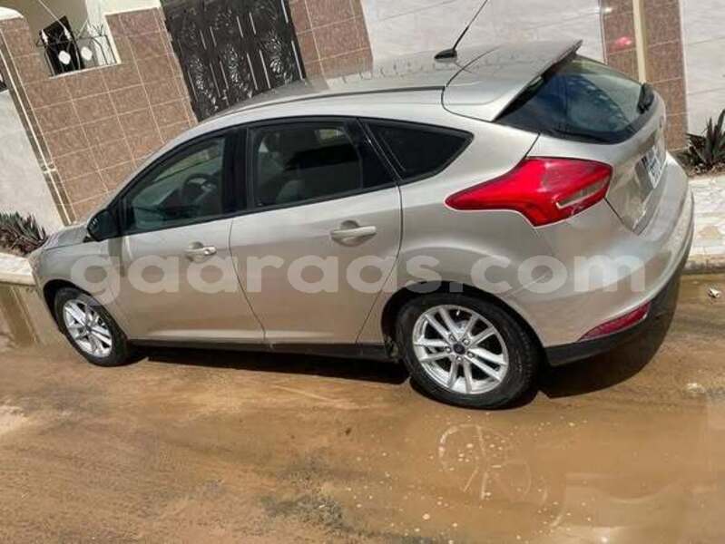 Big with watermark ford focus dakar dakar 33294