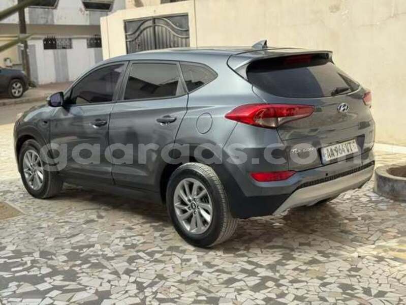 Big with watermark hyundai tucson dakar dakar 33327