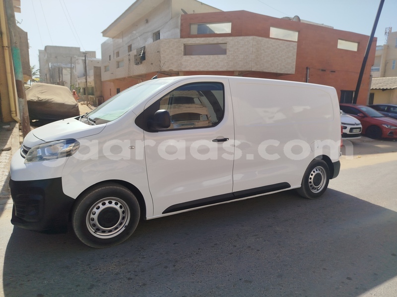 Big with watermark citroen jumpy dakar dakar 33419