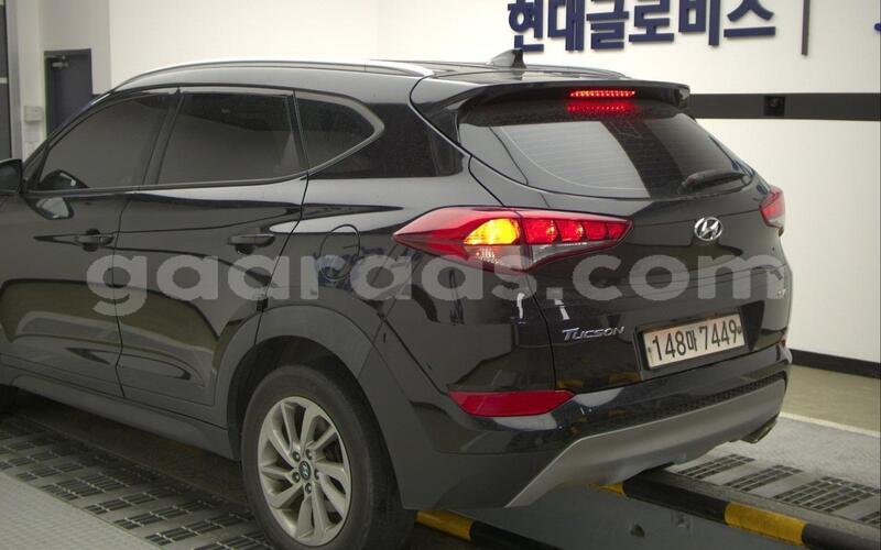 Big with watermark hyundai tucson dakar dakar 33425