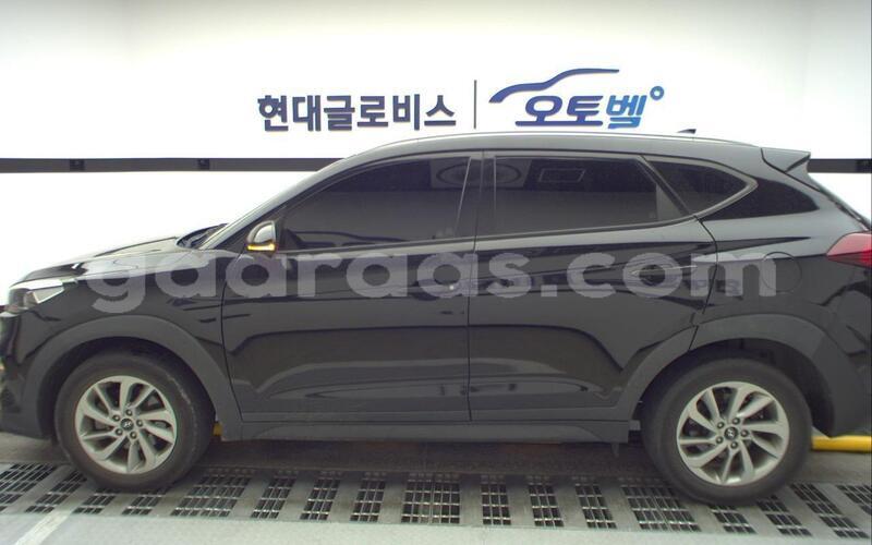 Big with watermark hyundai tucson dakar dakar 33425