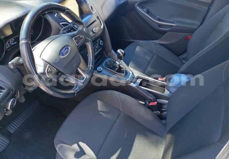 Big with watermark ford focus kolda dabo 33467