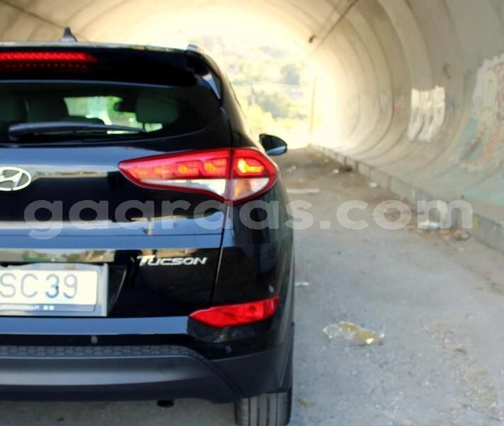 Big with watermark hyundai tucson dakar dakar 33468