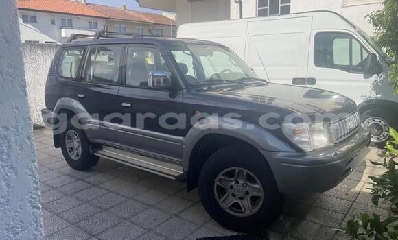 Acheter Occasion Voiture Toyota Land Cruiser Autre à Dabo, Kolda