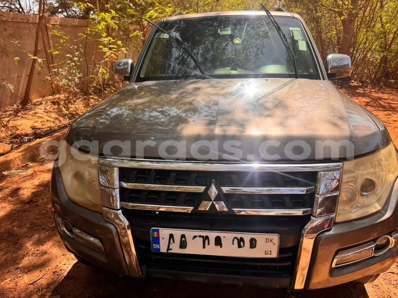 Big with watermark mitsubishi pajero dakar dakar 33487