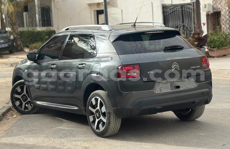 Big with watermark citroen c4 cactus dakar dakar 33498