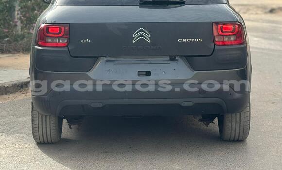 Acheter Neuf Voiture Citroen C4 Cactus Gris de fer à Dakar, Dakar Acheter Neuf Voiture Citroen C4 Cactus Gris de fer à Dakar, Dakar