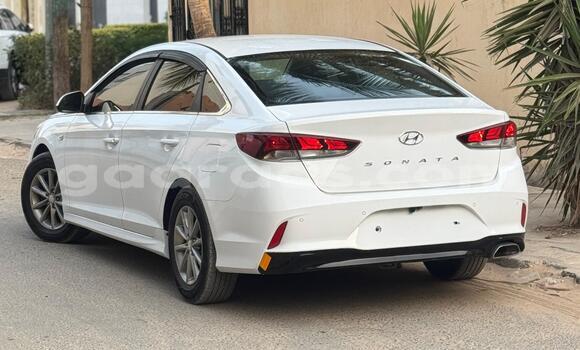 Acheter Neuf Voiture Hyundai Sonata Blanc à Dakar, Dakar Acheter Neuf Voiture Hyundai Sonata Blanc à Dakar, Dakar