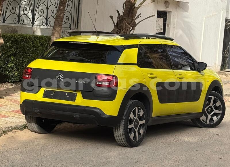 Big with watermark citroen c4 cactus dakar dakar 33521
