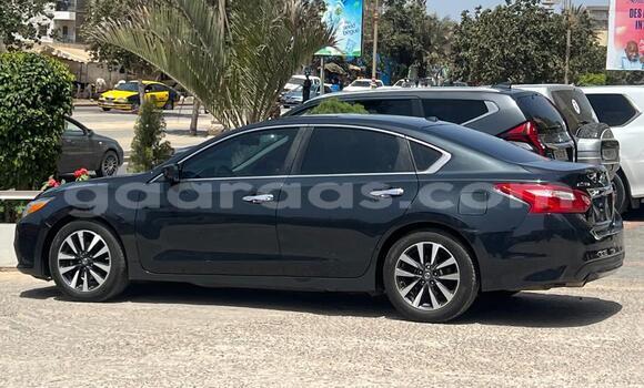 Acheter Occasion Voiture Nissan Altima Gris de fer à Dakar, Dakar Acheter Occasion Voiture Nissan Altima Gris de fer à Dakar, Dakar