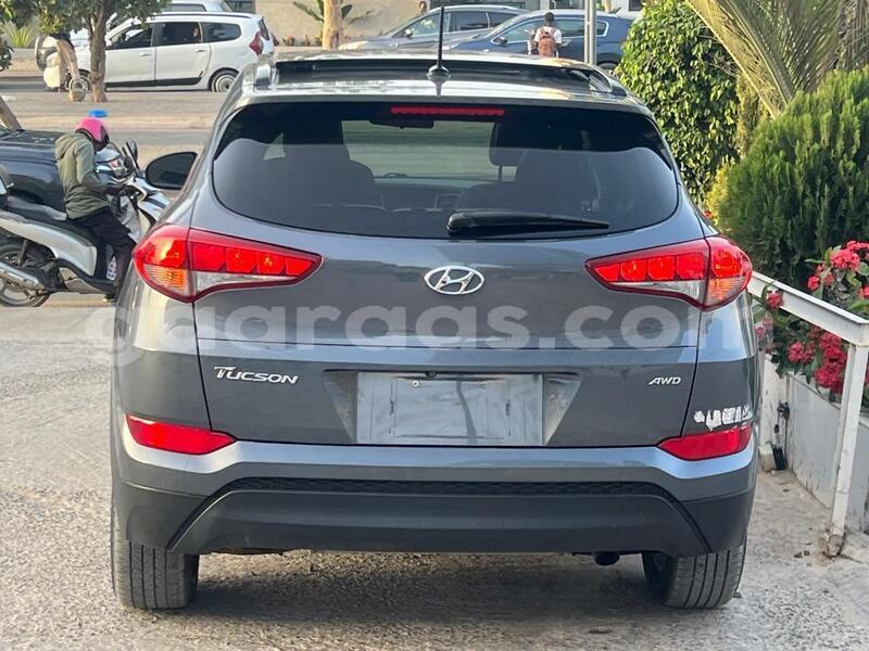 Big with watermark hyundai tucson dakar dakar 33561