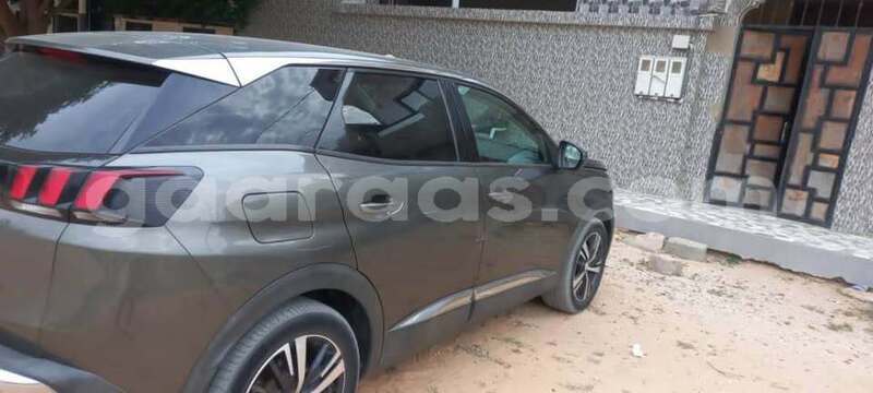 Big with watermark peugeot 3008 dakar dakar 33613