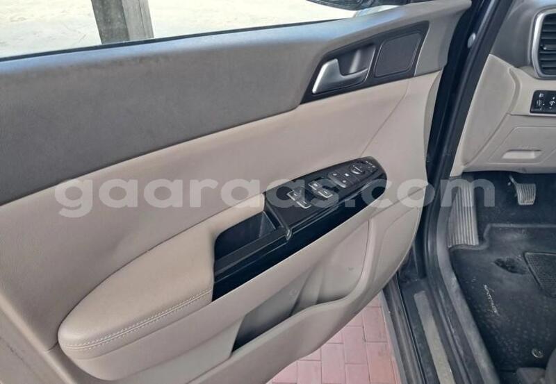 Big with watermark kia sportage bagmati behind berlin 33633