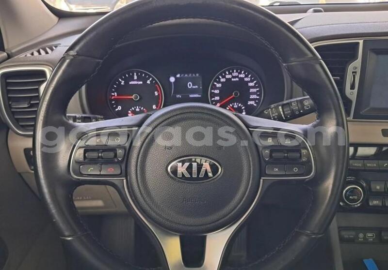 Big with watermark kia sportage bagmati behind berlin 33633