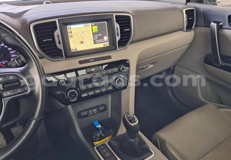 Big with watermark kia sportage bagmati behind berlin 33633